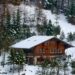 chalet in the Forest
