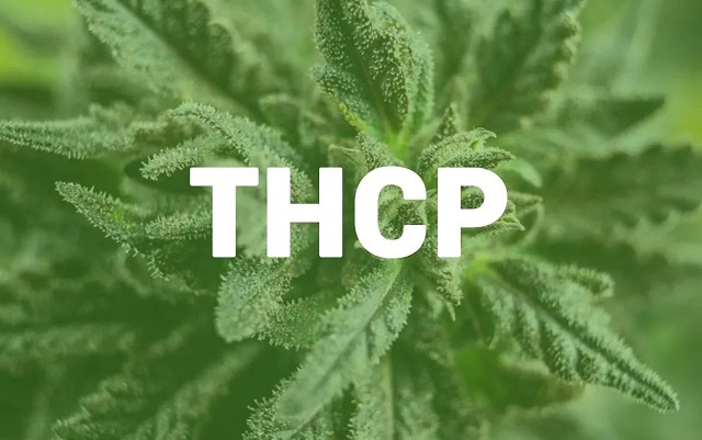 THCP Nouveau cannabinoïde puissant