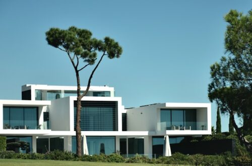 immobilier de luxe