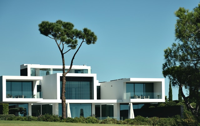 immobilier de luxe