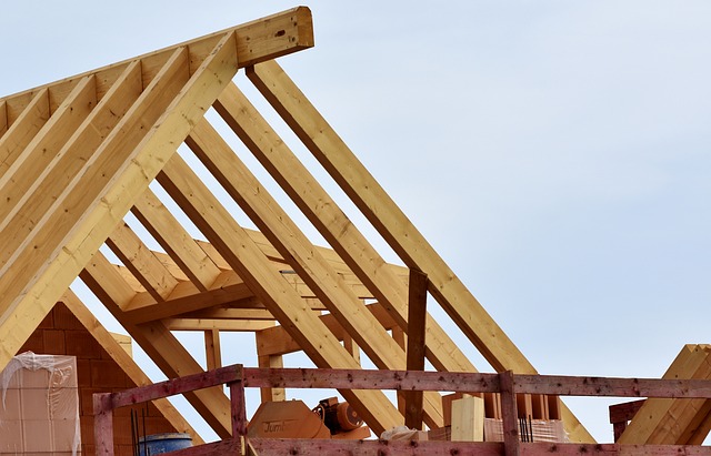 construction en bois
