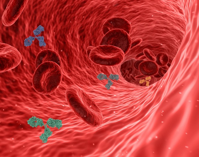 système immunitaire